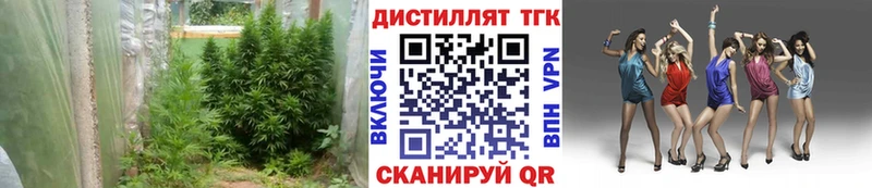 Дистиллят ТГК вейп  Купить закладки  Анжеро-Судженск 